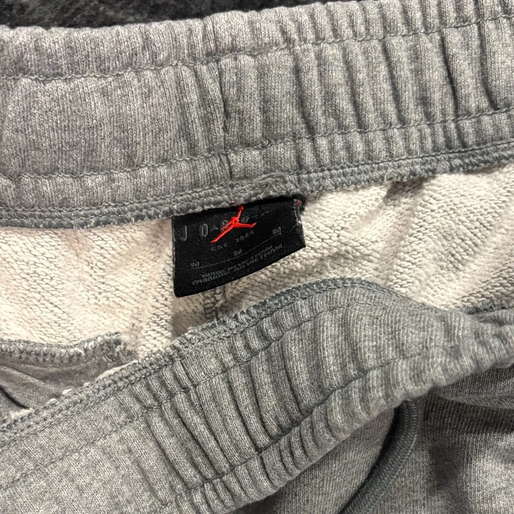 Jordan Men Light Gray Joggers - Picture 3 of 3